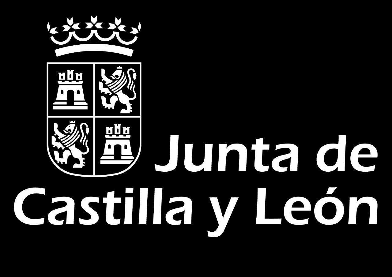 Junta de Castilla y León